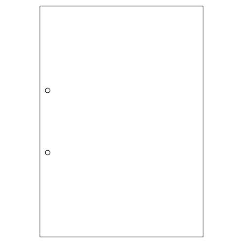 }`v^[  A4  2 50(BPW2001)