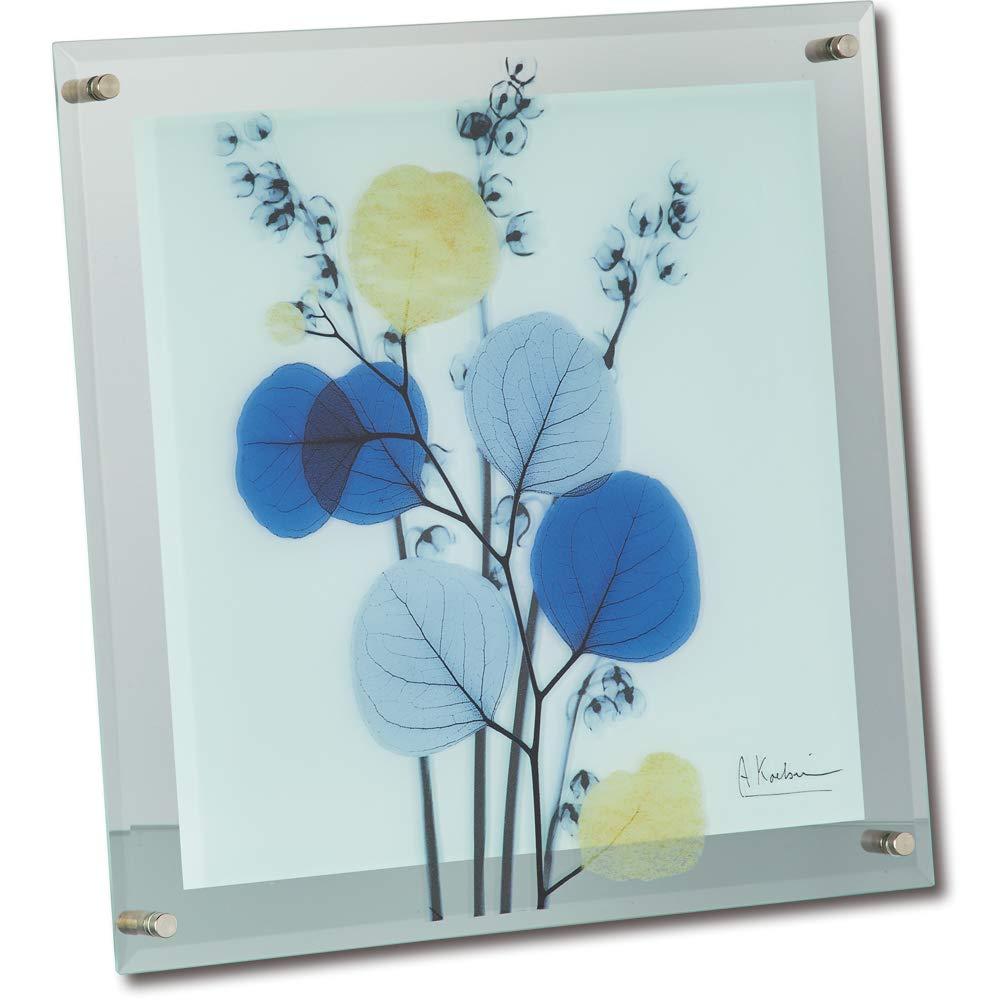 [p[ X RAY KX A[g MTCY uJt[Jv XR-05013 (1566249)