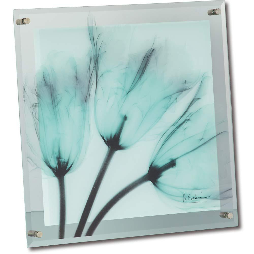 [p[ X RAY KX A[g MTCY uu[Cg`[bvv XR-05015 (1566251)