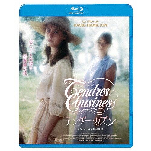 e_[EJY HD}X^[C eBG[EeB[j