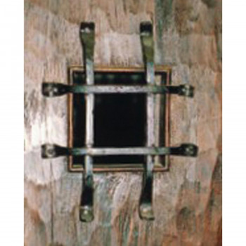 �̂������i�q 18809 (1562483)