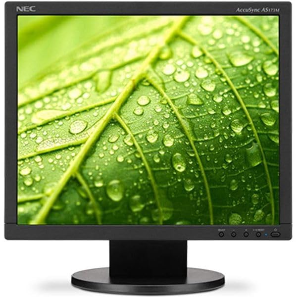 17^tfBXvC 1280~1024()(LCD-AS173M-BK)