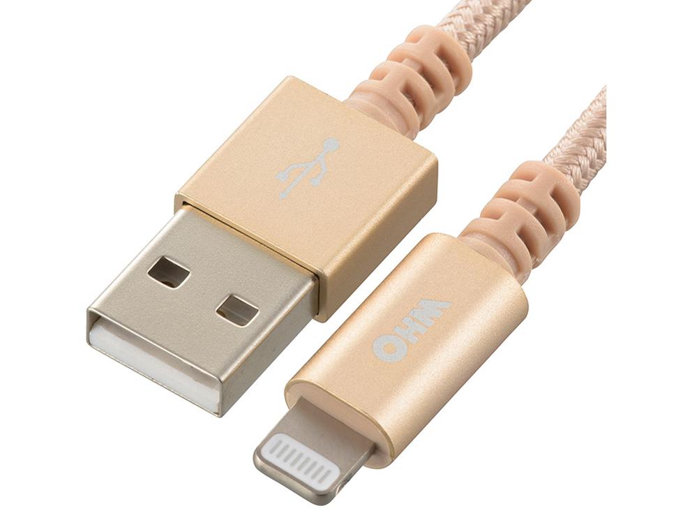 ECJOY!】 LINDY USB TypeA-Lightning充電ケーブル、高強度タイプ、3m(型番:31293)