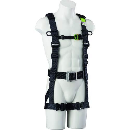 ^C^ ]˓ M xgt (ė~p)