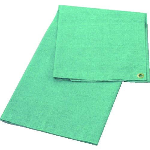 TRUSCO Xpb^V[gAt@[ 6 1920X2920 O[