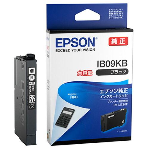 CNJ[gbW(ubN)/eʃCN/1100y[WΉ(IB09KB) EPSON Gv\