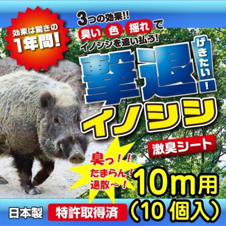 ރCmVVp 10mp 10