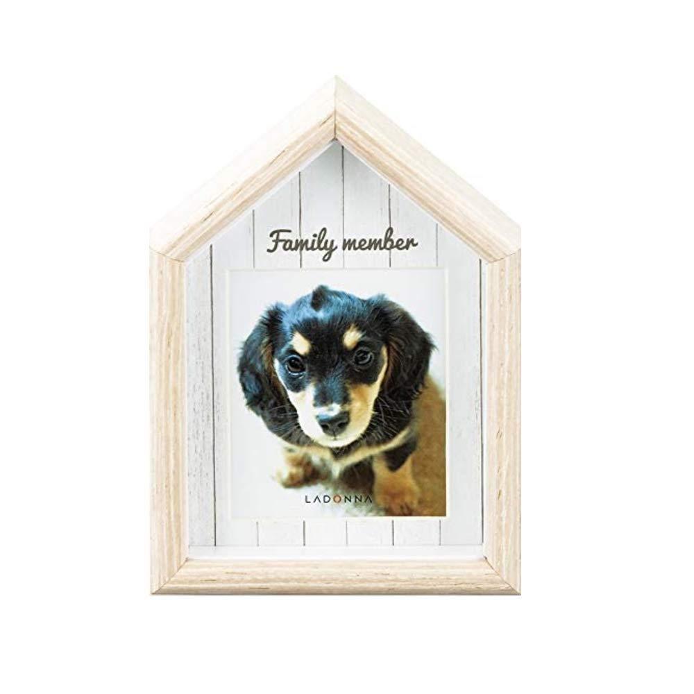 LADONNA rO tHgt[ PET22-S2-B 088171