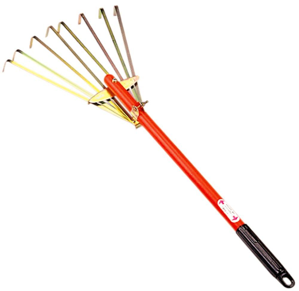 #55527 Ƃ܂ @#55527