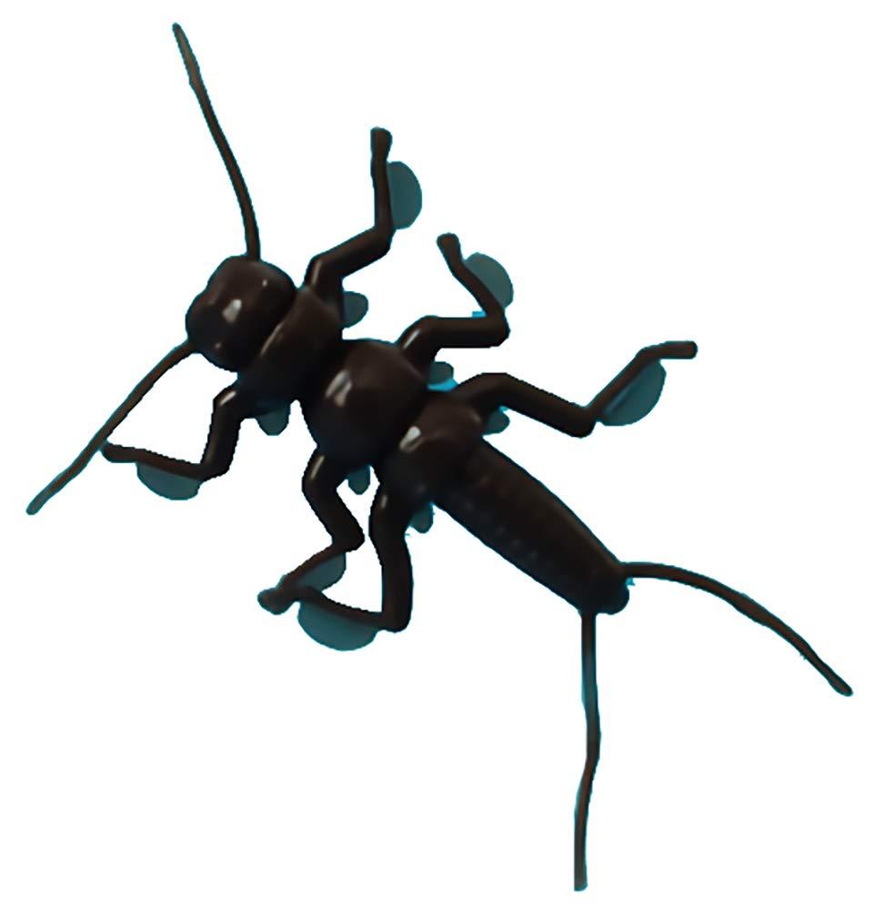 jbR[ ނ[ DAPPYIj` 0.7inch 0.7inch C02 ELpN