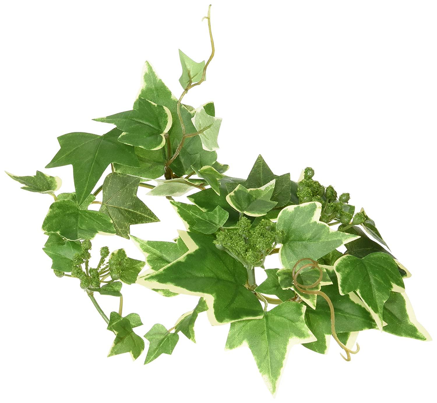 asca  I_ACr[LhO @QCgO[ A-46079-051V