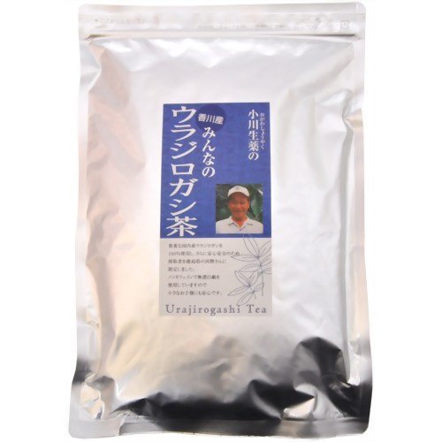 ECJOY!】 小川生薬 香川産 みんなのウラジロガシ茶 ティーバッグ 5g×40袋