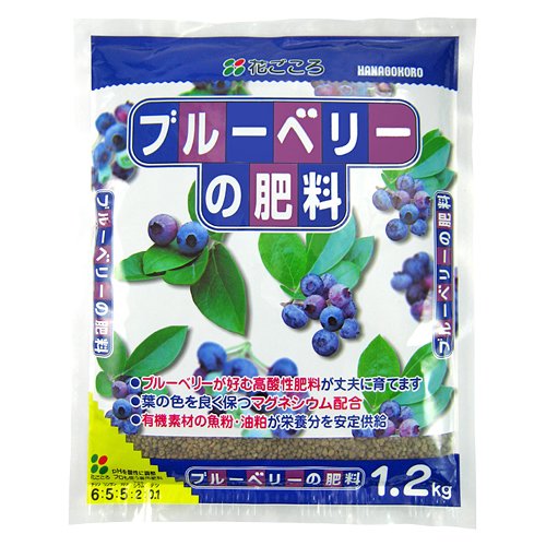 u[x[̔엿1.2kg