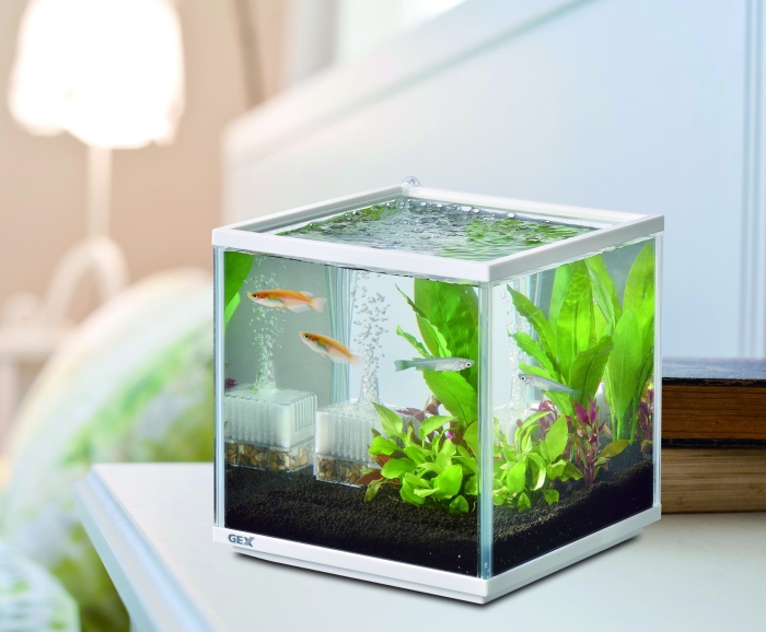 ECJOY!】 ジェックス 金魚元気キューブセット200 (8117220)