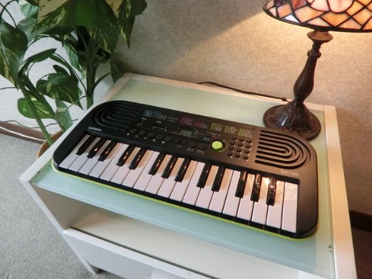 ECJOY!】 CASIO カシオ カシオミニ電子キーボード (SA-46)