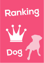 dog goods