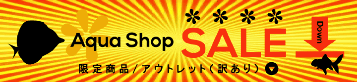 アクア用品 ／お買い得商品・アウトレット
