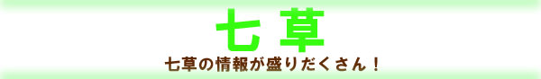 @̏񂪐肾