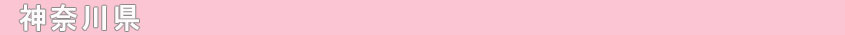 _ސ쌧
